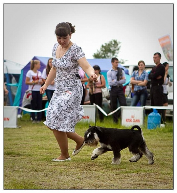 Vladivostok, allbreeds CAC-show Vladivostok, allbreeds CAC-show